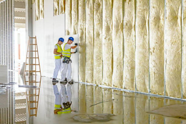 Best Geographic-Specific Insulation Services in Breezy Point, MN